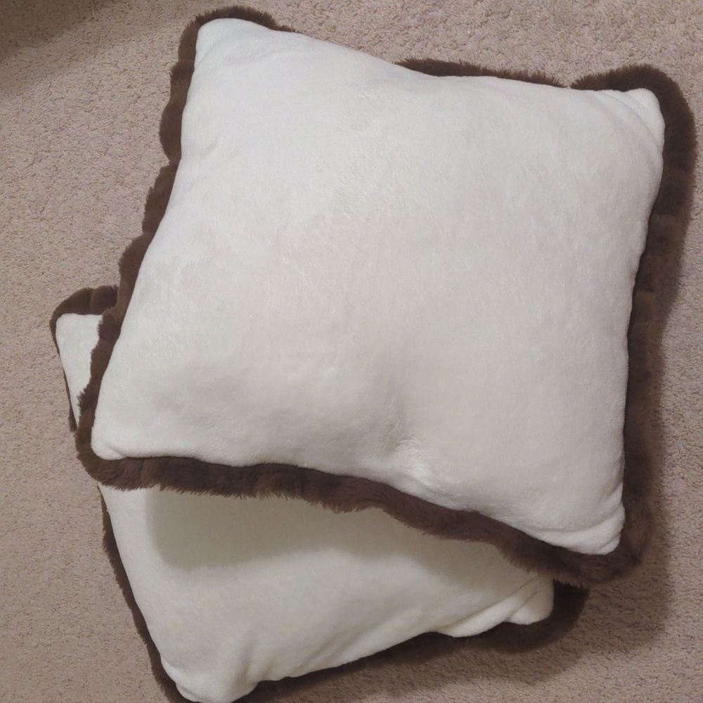 Set of TWO Plush Throw Pillows - Picture 2 of 3